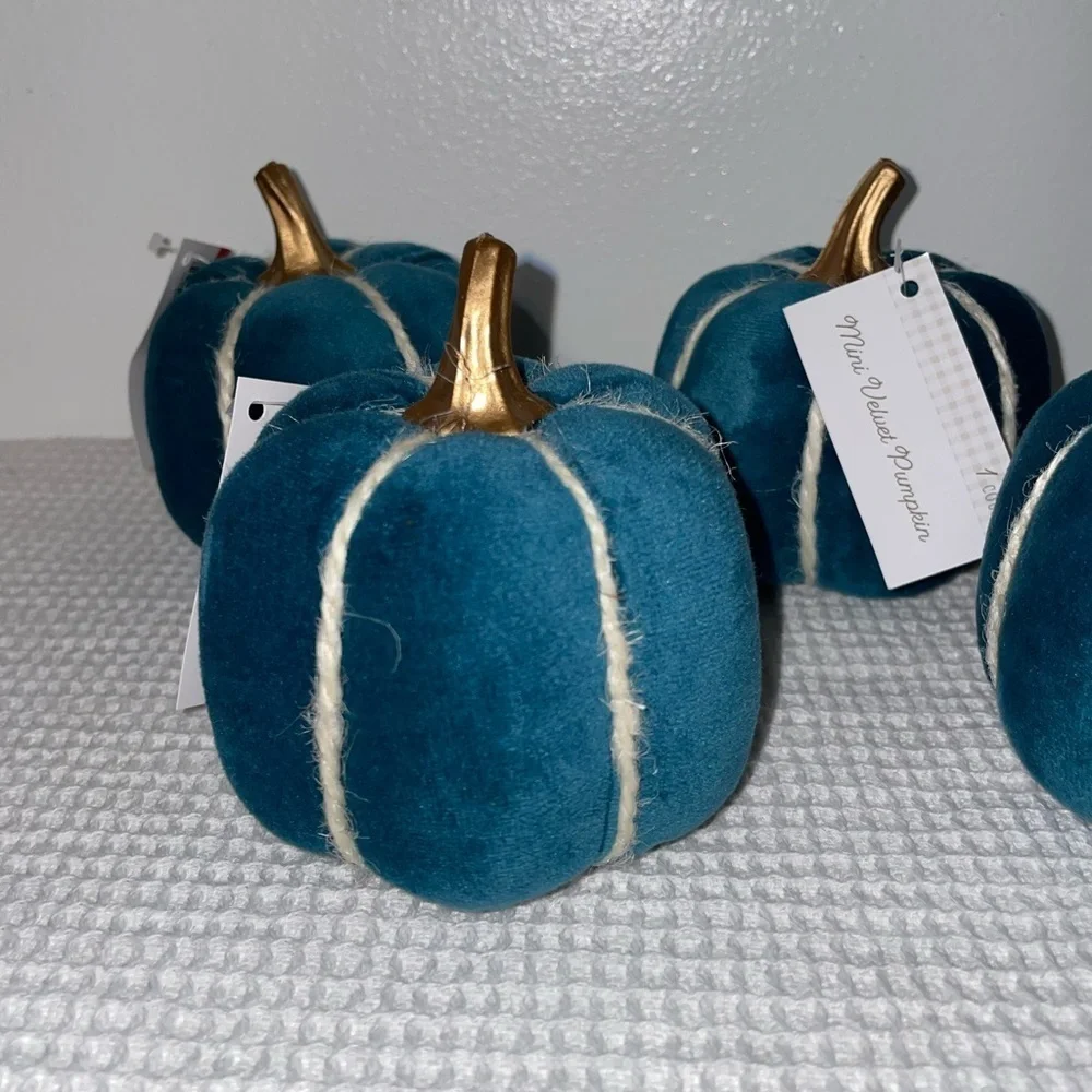 Mini velvet pumpkins - set of 4- target bullseye playground
